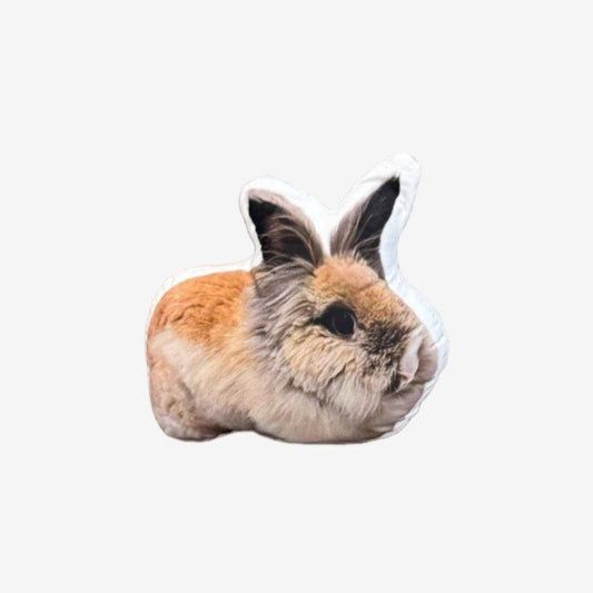 Custom pet photo pillow with a rabbit  portrait printed on soft polyester fabric.