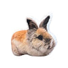 Custom Pet Photo Throw Pillows - Create a Purr - fect Memory with Your Furry Friend! - BuddyCopies