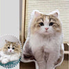 Custom Pet Photo Throw Pillows - Create a Purr - fect Memory with Your Furry Friend! - BuddyCopies