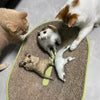 Custom Pet Photo Throw Pillows - Create a Purr - fect Memory with Your Furry Friend! - BuddyCopies