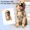 Custom Pet Portrait Bobblehead - BuddyCopies