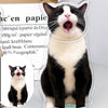 Custom Pet Portrait Bobblehead - BuddyCopies