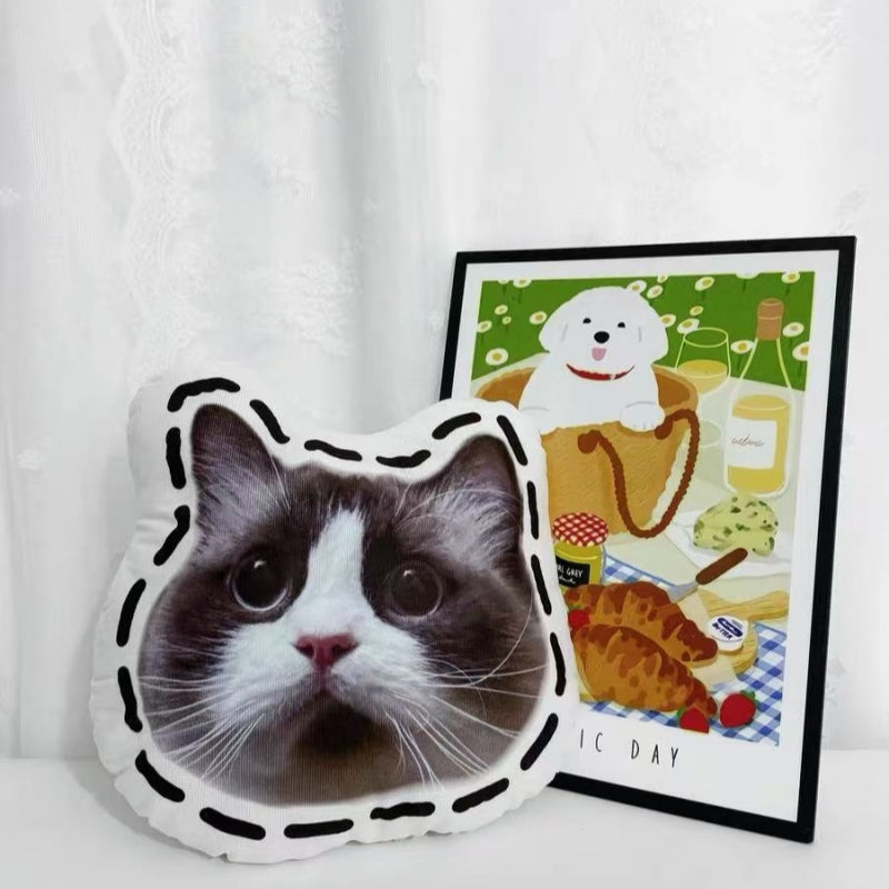 custom cat pillow in black and white with an album behind