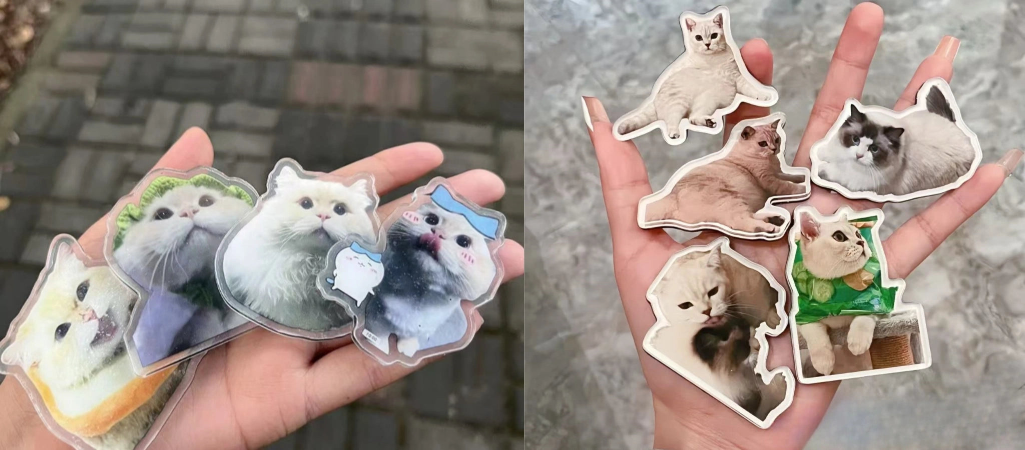 custom_pet_fridge_magnets