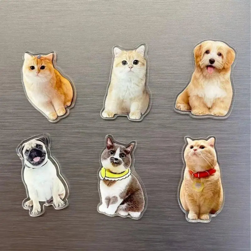 full body portrait dog and cat frige magnets sticking to the grey refrigerator