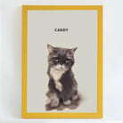 Custom digital hand-drawn pet portrait of a cat with painterly brushstrokes.