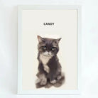 lose-up of artist’s digital sketch capturing a cat’s expressive eyes and fur texture.