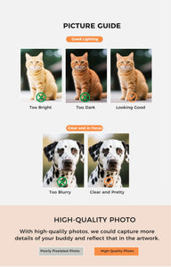 Visual instructions for capturing best pet photos for custom products: well-lit profile shots and high-resolution 