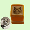 Personalized Pet Stamp - BuddyCopies