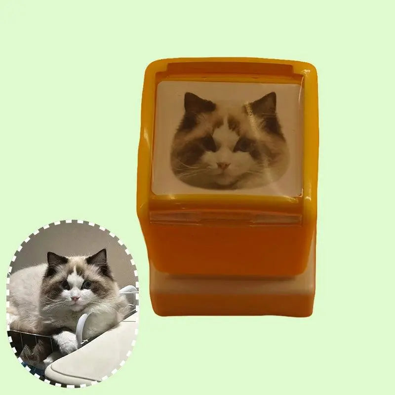 Mobile interface showing customer uploading a high-contrast cat photo.