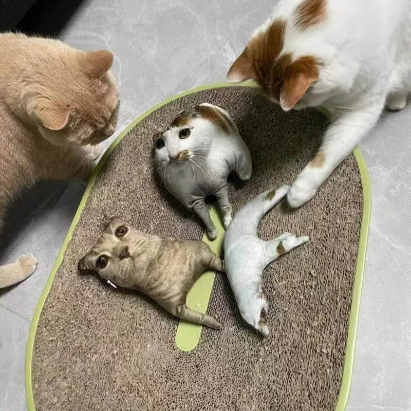 two cats with three personalized ugly pillows